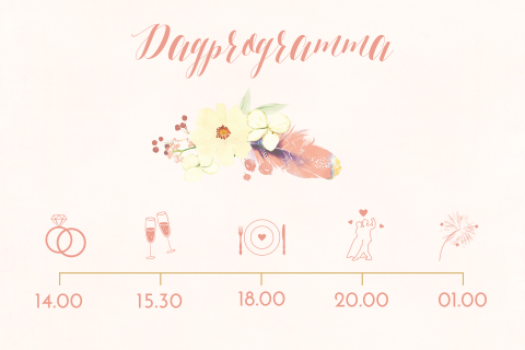 Programma met tijdslijn en icoontjes