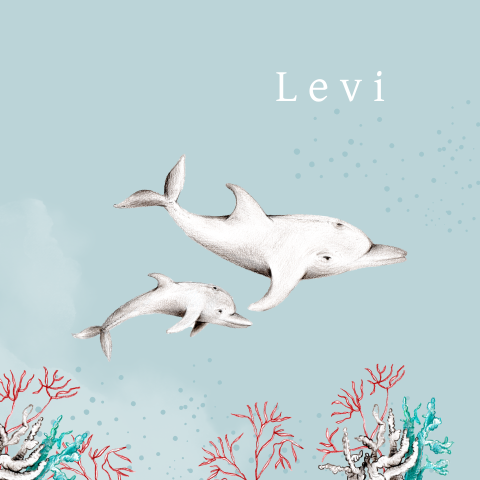 geboortekaartje illustratie dolfijn onderwater zeedier jongen