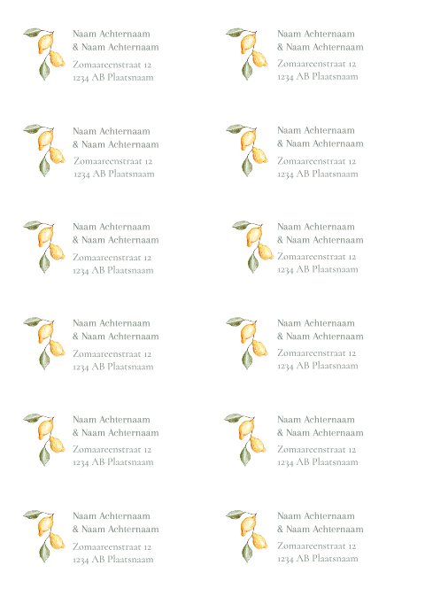 adressticker citroentjes - 97x45mm 10 stuks op 1 vel