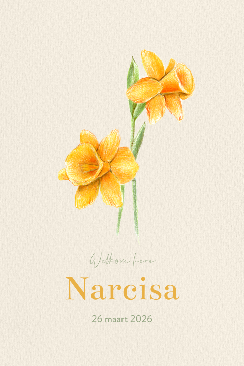 geboortekaartje meisje geboortebloem maart narcis