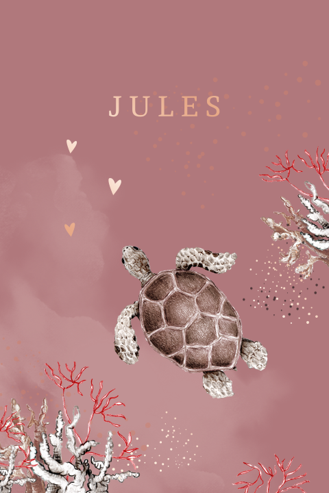 geboortekaartje schildpad onderwaterwereld zeedieren meisje