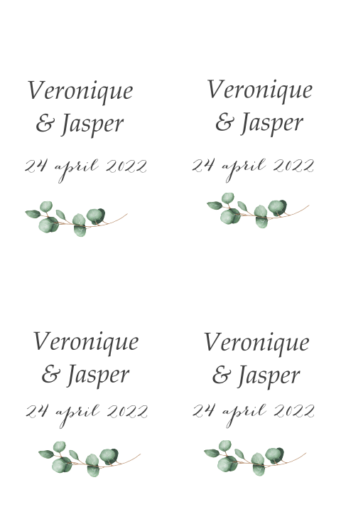 Modern labeltje met eucalyptus takje