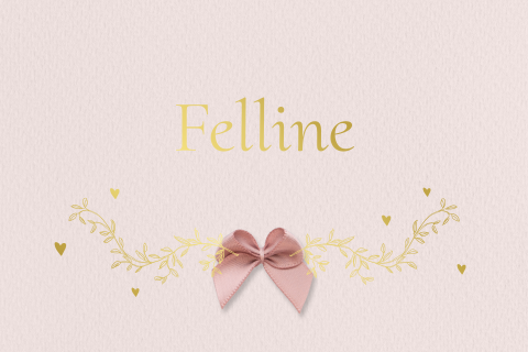 Klassiek Geboortekaartje meisje takjes hartjes goudfolie strik roze