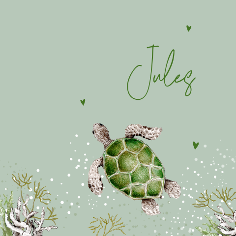 geboortekaartje illustratie schildpad groen onderwater zeedier jongen