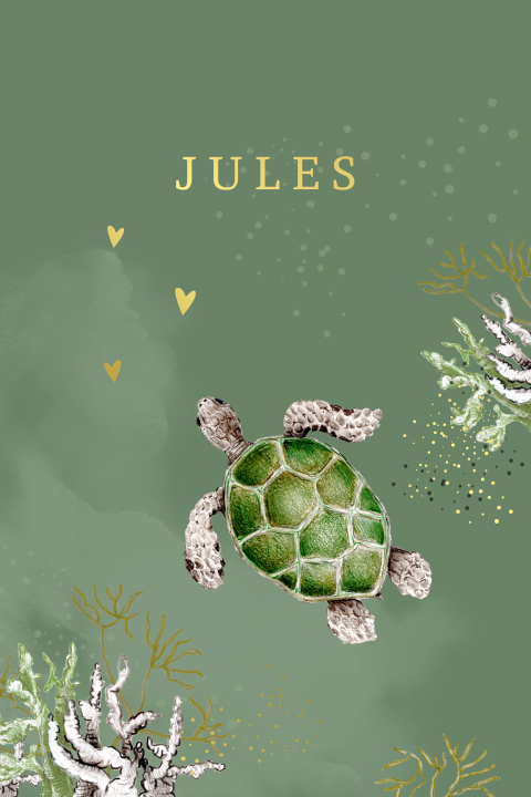 geboortekaartje schildpad onderwaterwereld zeedieren jongentje