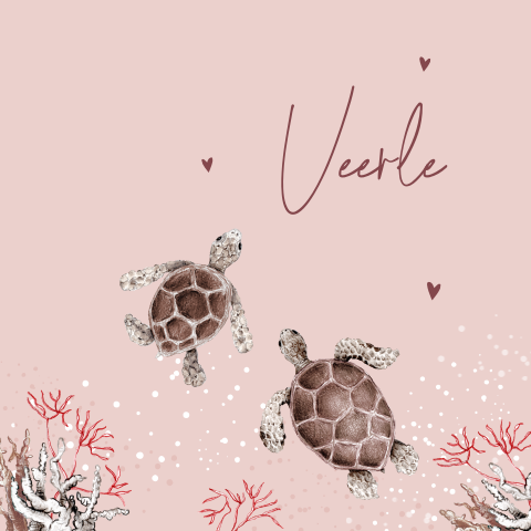 geboortekaartje illustratie schildpad roze tweede kindje meisje