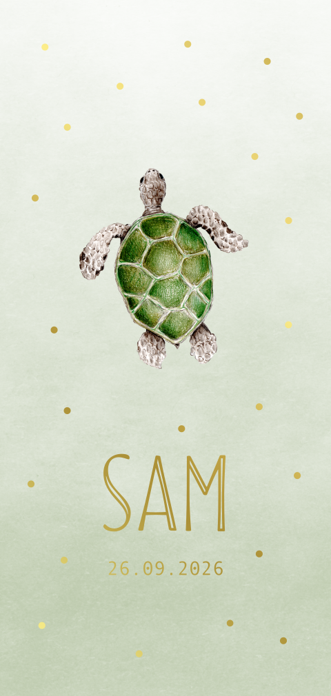 Geboortekaartje schildpad illustratie getekend folie