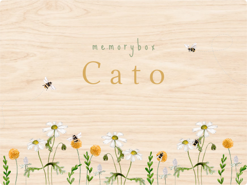 memorybox meisje vlinders bijtje madeliefjes