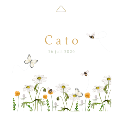 geboortetegeltje veldbloemen vlinders bijtjes