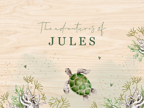 memorybox schildpad onderwaterwereld zeedieren