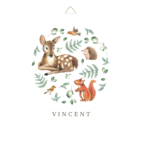 geboortetegeltje bosdieren rond hertje roodborstje