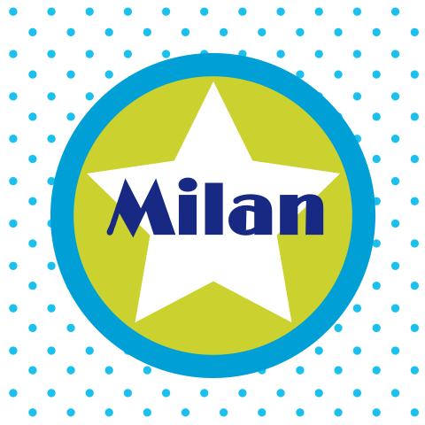 Leuk stippen geboortekaartje Milan met stip en ster