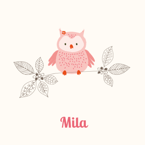 Hippe geboortekaart Mila met lief uiltje hout en takjes voor meisje