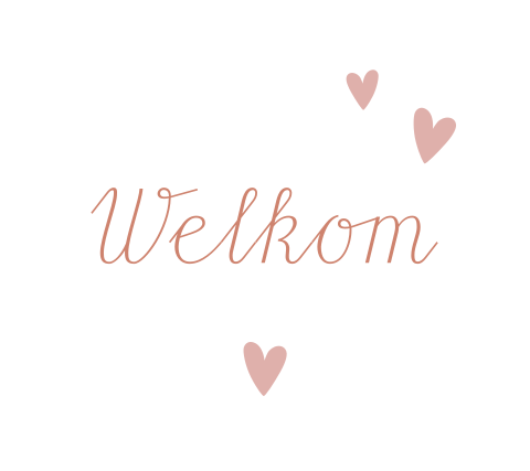Label kaartje hartje vorm tekst Welkom 16 stuks