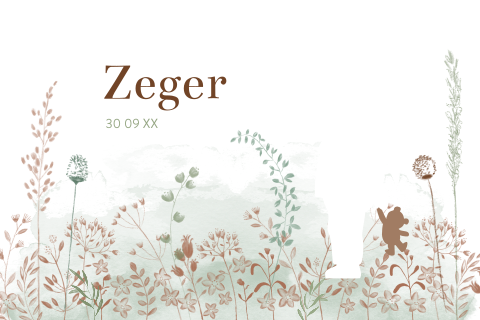 Stans geboortekaartje met silhouet en takjes