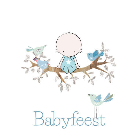 Vrolijke babyborrelkaart met baby op takje en leuke vogeltjes