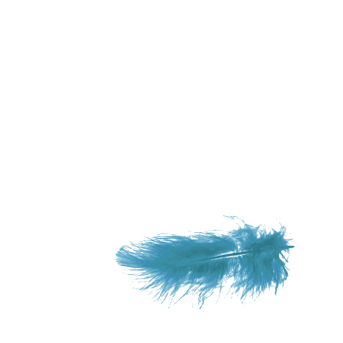 Mooi rouwkaartje voor kindje met blauw veertje