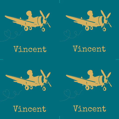 Trendy doopsuiker kaartje met vliegtuigje zelf snijden