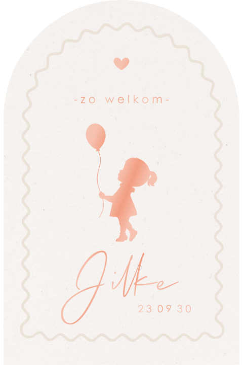 Een schattig stans geboortekaartje met silhouet gedrukt in hoogglans