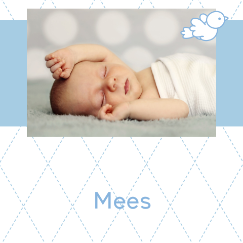 lief rouwkaartje met foto voor baby en kind met vogeltje en ruit