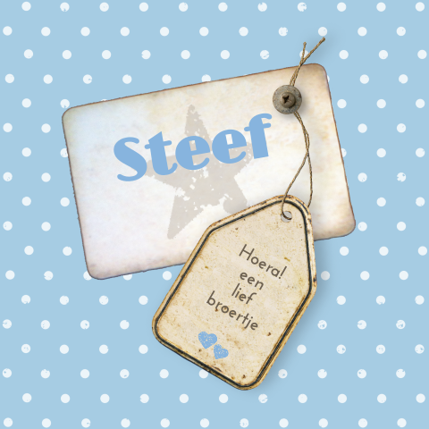 trendy geboortekaart Steef met stippen dessin en vintage etiket
