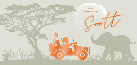 Hoogglans geboortekaartje met jeep olifant safari (DF)