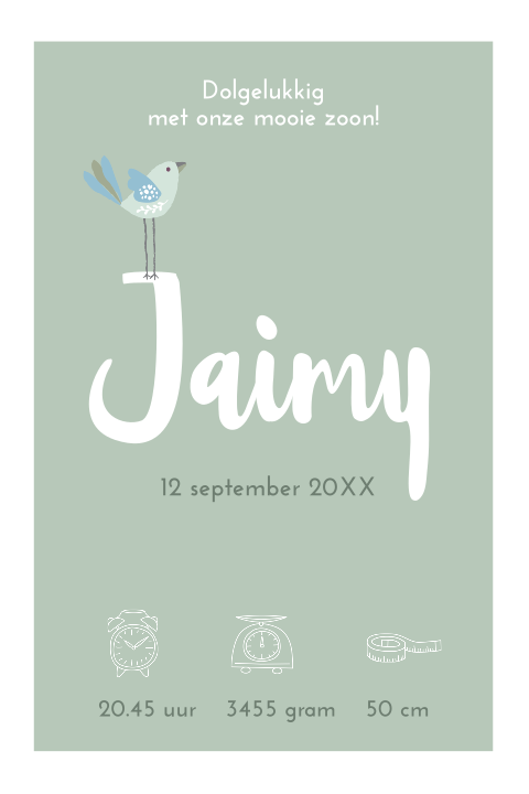 Lief geboortekaartje met vogeltje voor jongen