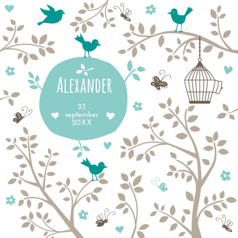 Mooie geboortekaart Alexander met vogeltjes en takjes en vogelkooi