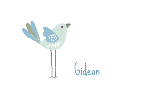 Mooi eenvoudig liggend geboortekaartje met vogeltje