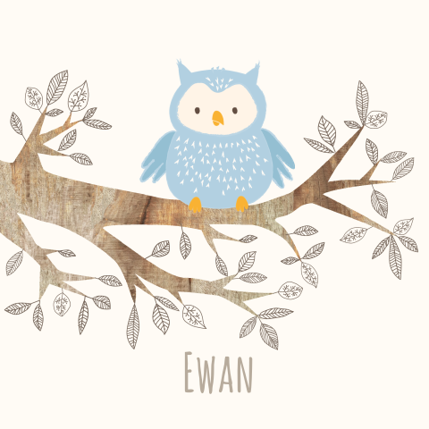 Mooie geboortekaart Ewan met lieve uil hout en takjes voor jongen