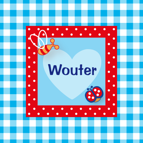 Vrolijke ruiten geboortekaart leuke stipjes en beestjes