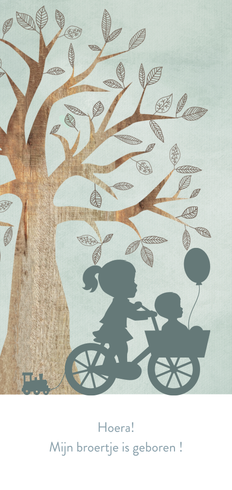geboortekaart boom en silhouet broertjes op fiets