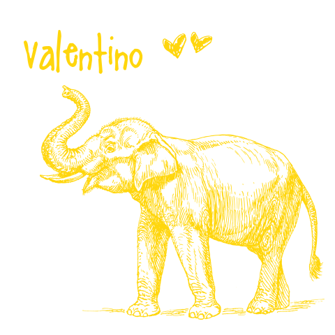 originele geboortekaart voor jongen met vintage olifant en giraf