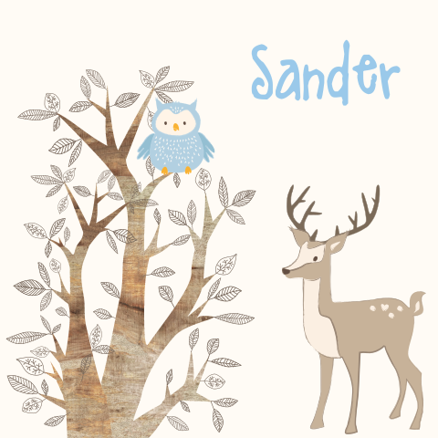 Mooie geboortekaart Sander met lieve uil hout en hertje voor jongen