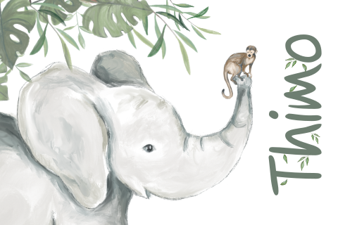 Geboortekaartje met baby olifantje en aapje