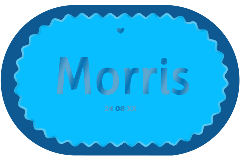 Toffe geboortekaart zoon ovaal met vrolijke felle kleuren en hoogglans