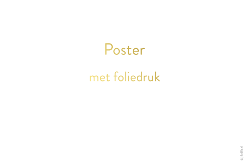 poster liggend folie blanco