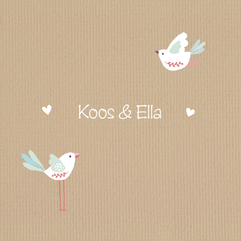 Lieve tweelingkaart met leuke vogels op vintage achtergrond