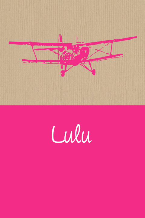 Mooi strak aankomstkaartje Lulumet vintage vliegtuig en hip ribkarton
