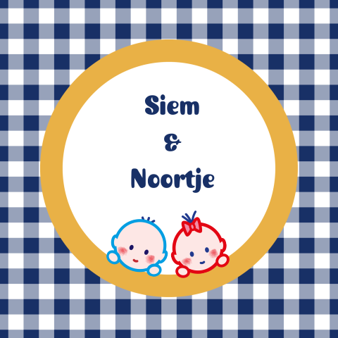 Vrolijke tweeling geboortekaart ruit en stippen met cartoon baby