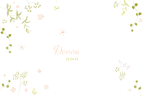 Tof stans geboortekaartje silhouet meisje als doorkijkje en bloemen