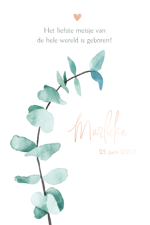 geboortekaartje met waterverf eucalyptus tak en foliedruk