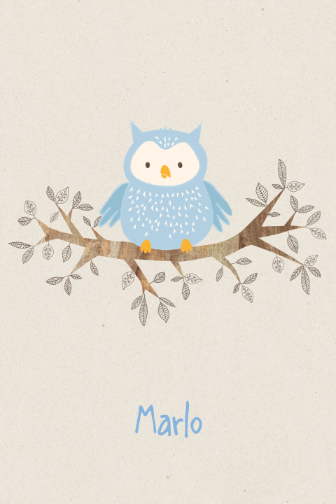 Trendy geboortekaartje met hout en uiltje voor jongen