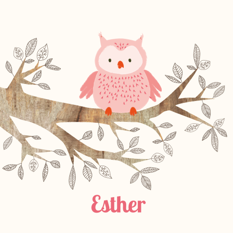 Mooie geboortekaart Esther met lieve uil hout en takjes voor meisje