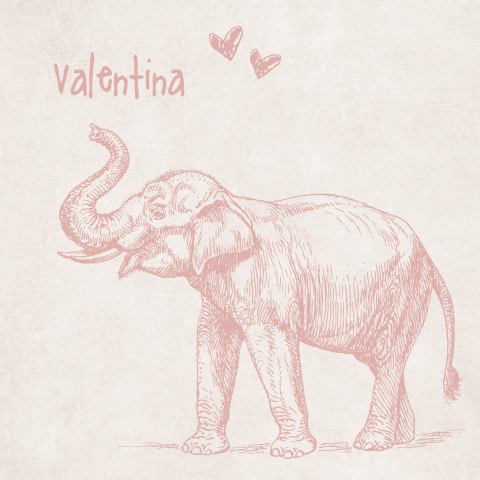originele geboortekaart voor meisje met vintage olifant en giraf