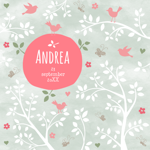 Lieve geboortekaart Andrea met vogeltjes en takjes