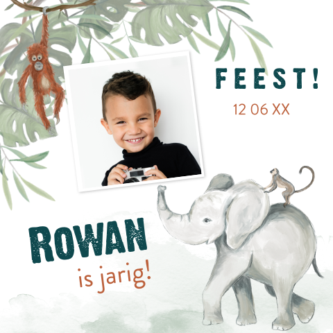 Verjaardagskaartje met foto, aapjes en olifant