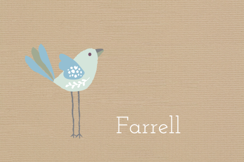 Mooi eenvoudig geboortekaartje met vogeltje op kraftpapier