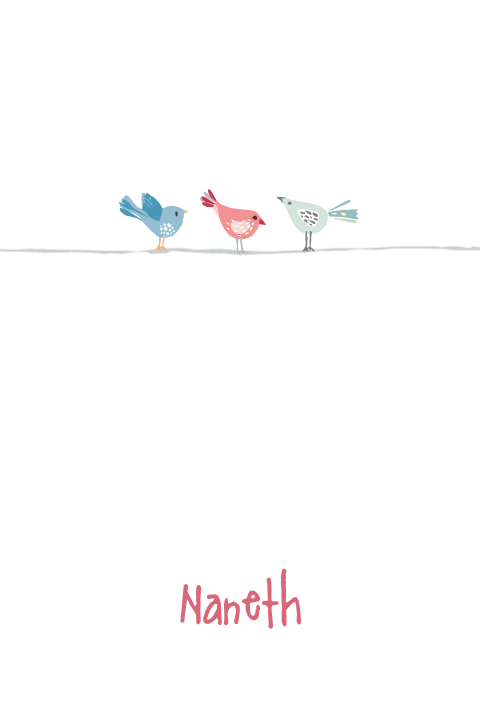 Mooi staand meisjes geboortekaartje met lieve vogeltjes