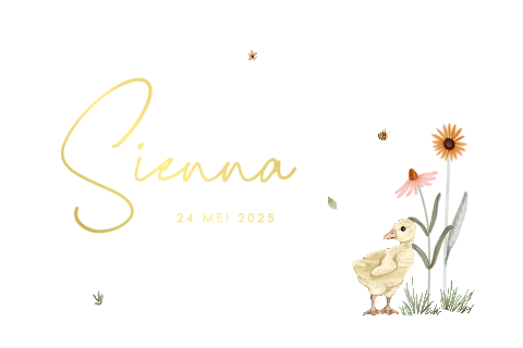 Lief geboortekaartje voor meisje met eendje, bloemen en goudfolie
